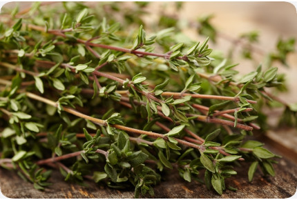 ORGANIC - Thyme
