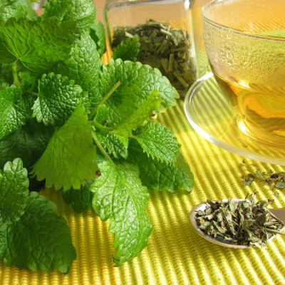 BIO - Zitronenmelisse
