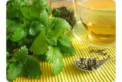 ORGANIC - lemon balm