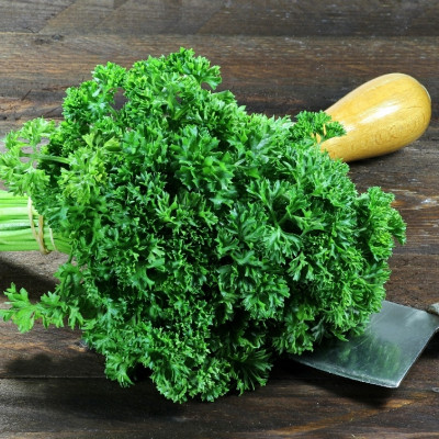 Organic curly parsley