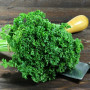 Organic curly parsley