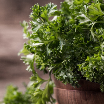 Organic curly parsley
