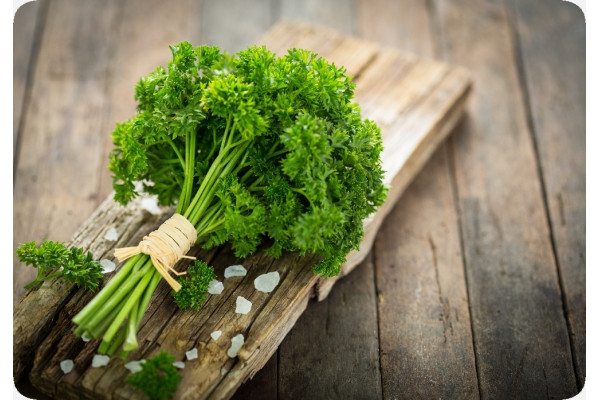 Organic curly parsley