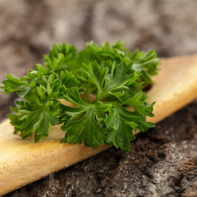 Organic curly parsley