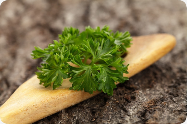 Organic curly parsley
