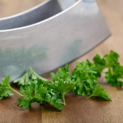 Organic curly parsley