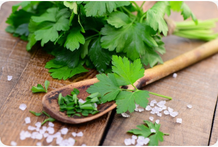 BIO - Glatte Petersilie