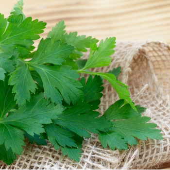 Organic - Flat-leaf parsley
