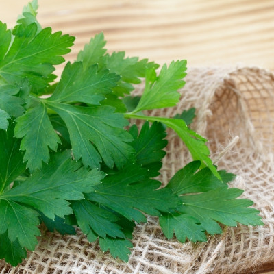 Organic - Flat-leaf parsley