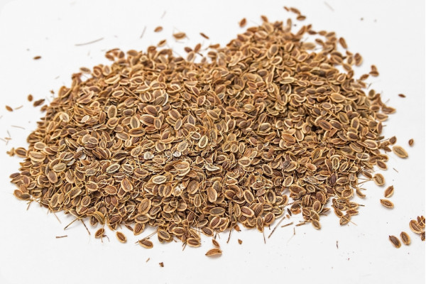 Organic - Flat-leaf parsley