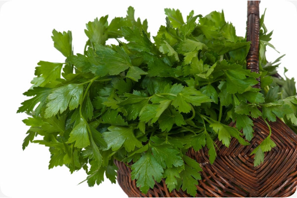 Organic - Flat-leaf parsley