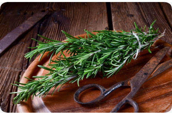 Organic rosemary