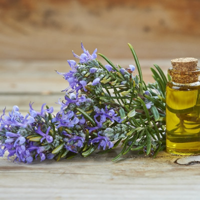 Organic rosemary