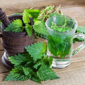 Organic - Stinging Nettle