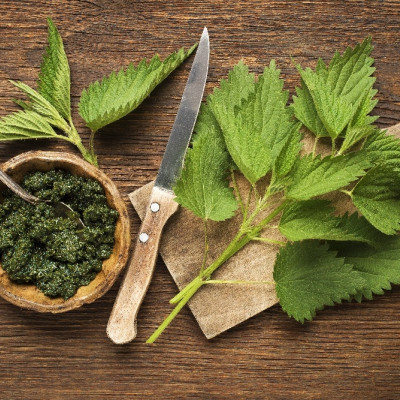 Organic - Stinging Nettle