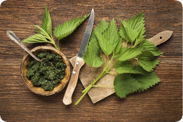 Organic - Stinging Nettle