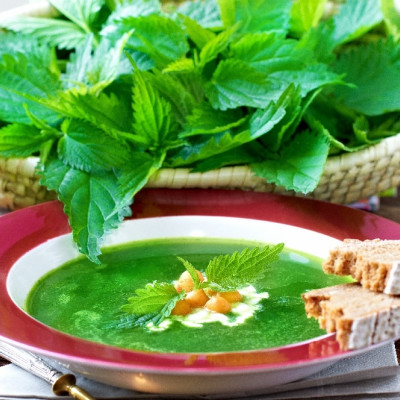 Organic - Stinging Nettle