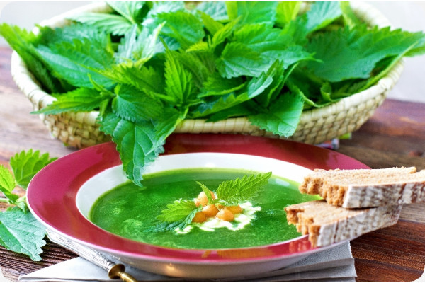 Organic - Stinging Nettle
