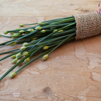 Organic - Cut - Garlic
