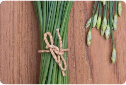 BIO - Schnitt - Knoblauch