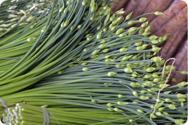 Organic - Cut - Garlic