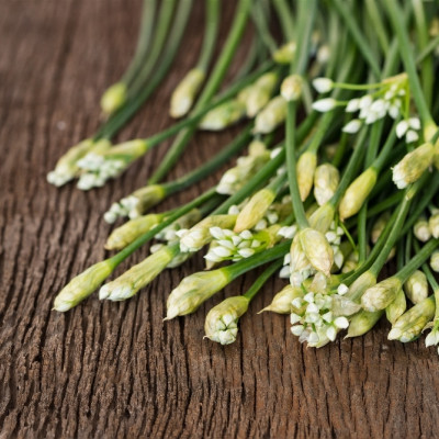 Organic - Cut - Garlic