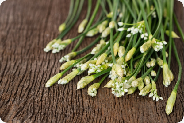 Organic - Cut - Garlic