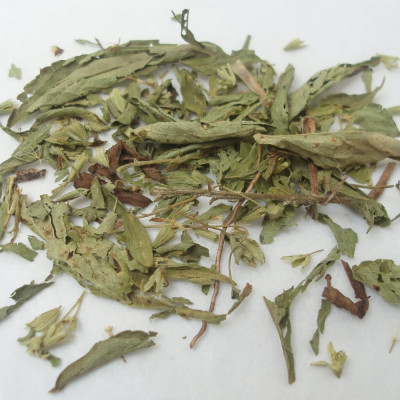 Stevia Süßkraut