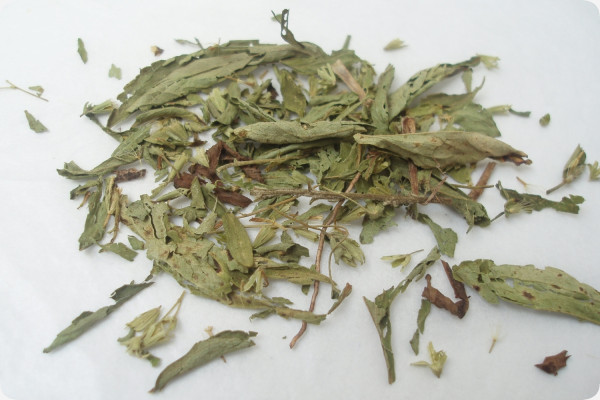 Stevia Süßkraut