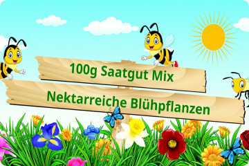 Bienenwiese