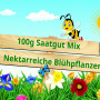 Bienenwiese