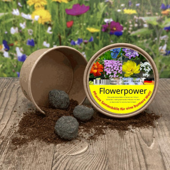 Flower Power - Seed Balls