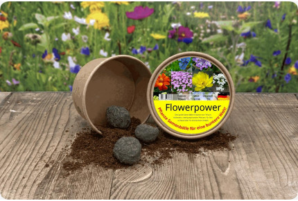 Flower Power - Samenbälle