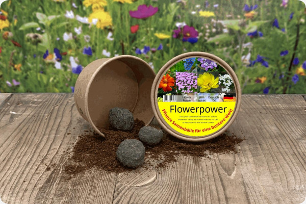 Flower Power - Seed Balls