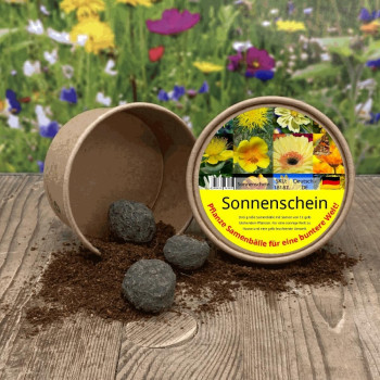 Sonnenschein - Samenbälle
