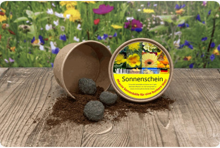 Sonnenschein - Samenbälle