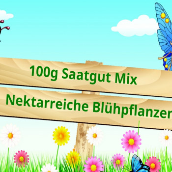 Schmetterlingshimmel