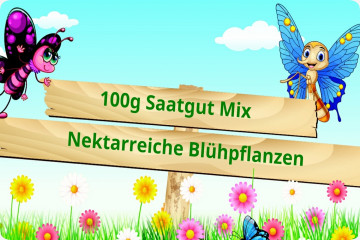 Schmetterlingshimmel