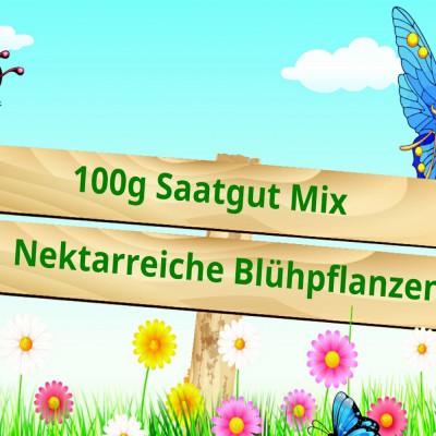 Schmetterlingshimmel