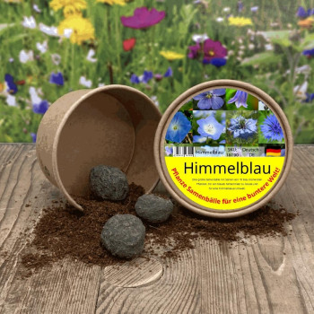 Himmelblau - Samenbälle