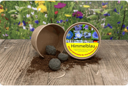Himmelblau - Samenbälle