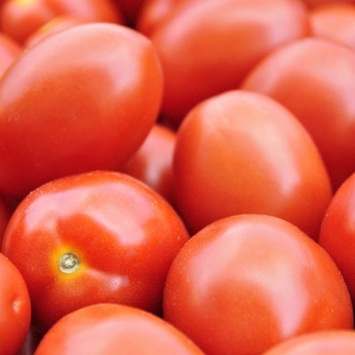 ORGANIC - Tomato - Principe Borghese