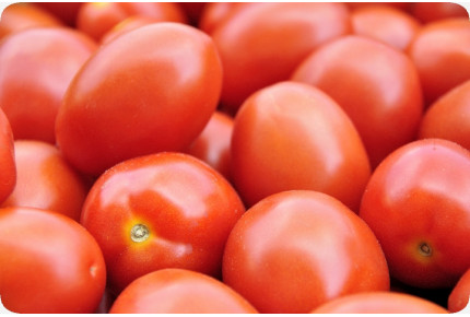 ORGANIC - Tomato - Principe Borghese