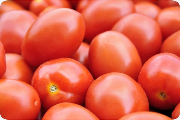 ORGANIC - Tomato - Principe Borghese