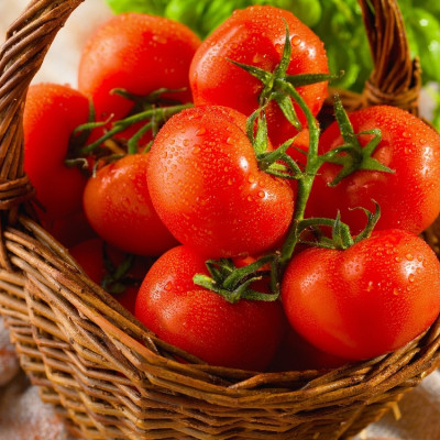 Organic - Tomato - Berner Rose