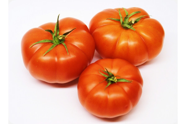 Organic - Tomato - Berner Rose
