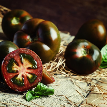 BIO - Tomate - Black Cherry