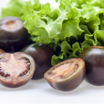 BIO - Tomate - Black Cherry