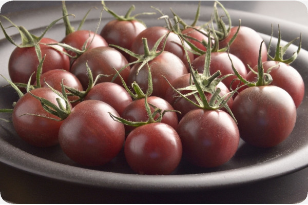 Organic - Tomato - Black Cherry
