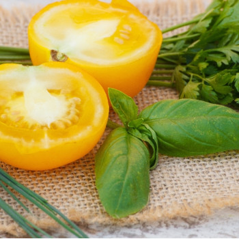 Organic - Tomato - Golden Queen